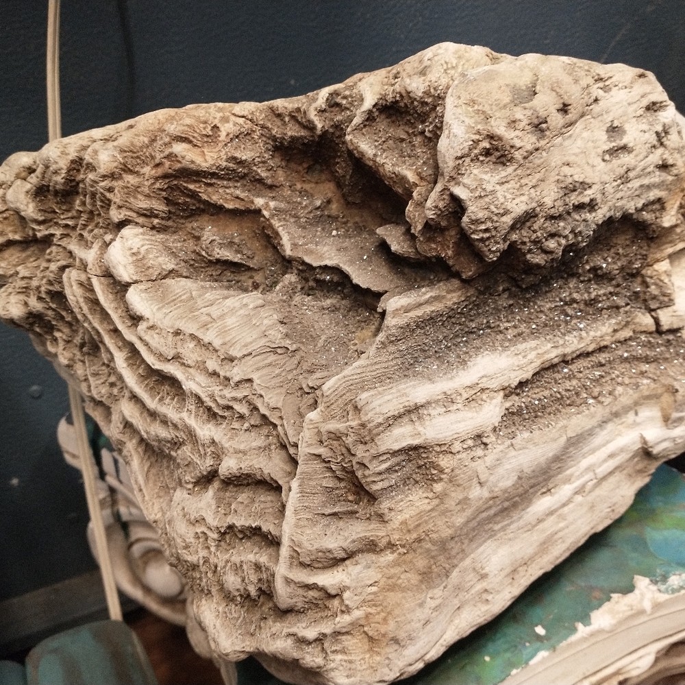 Petrified Wood Stump